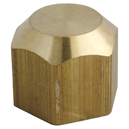 Homeplus+ ATC 5/16 in. Flare Brass Cap 6JC050810721013